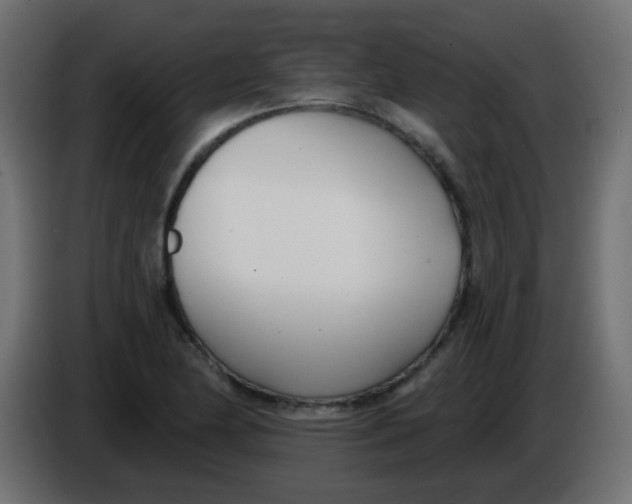 X0000086071174200704132034