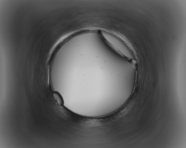 X0000086071175200704132034
