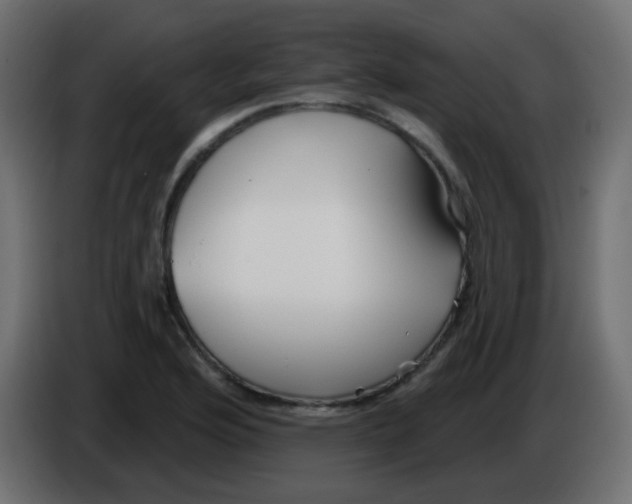 X0000086071176200704132034