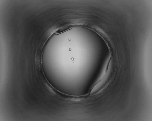 X0000086071177200704132034