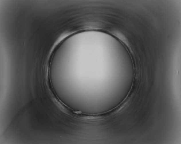 X0000086071179200704132034