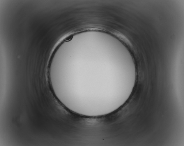X0000086071182200704132033