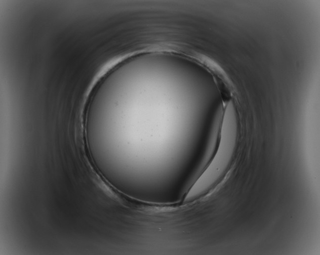 X0000086071184200704132033