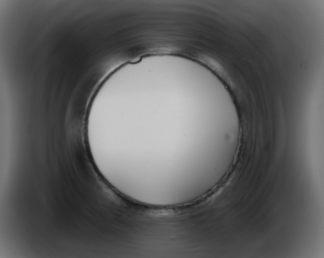 X0000086071186200704132033