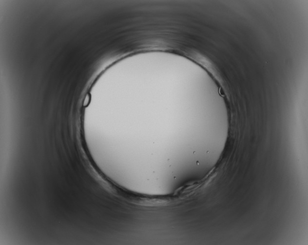 X0000086071187200704132033