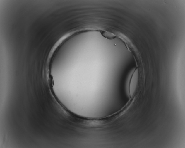 X0000086071188200704132033