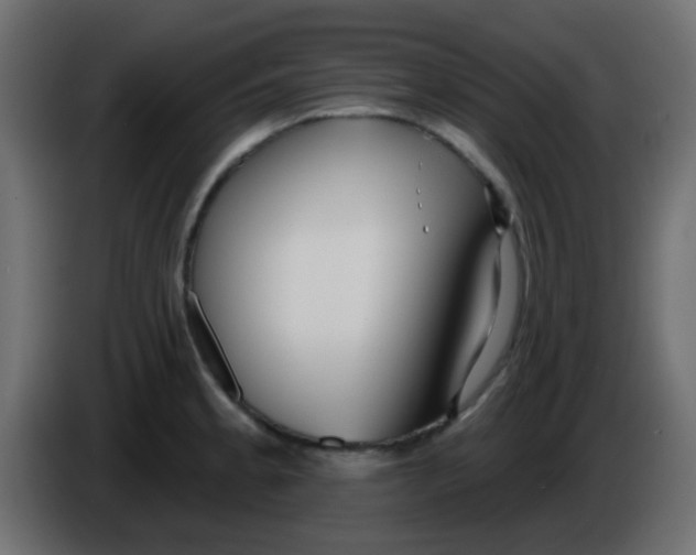 X0000086071189200704132033