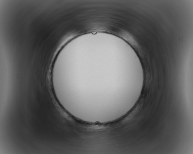 X0000086071190200704132033