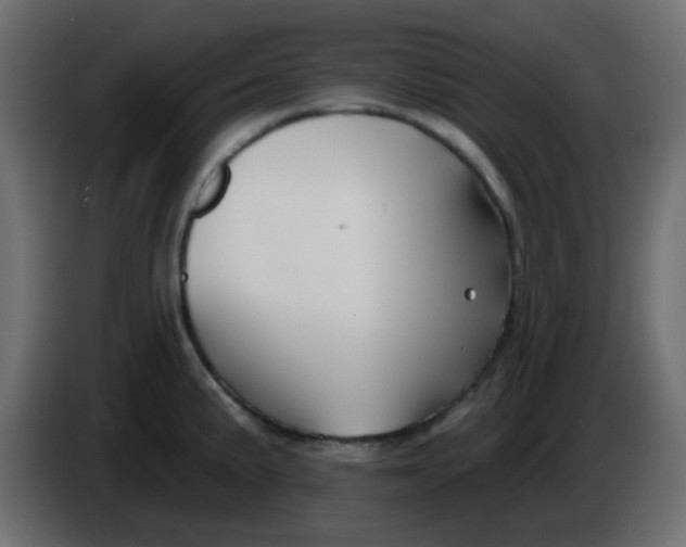 X0000086071191200704132033