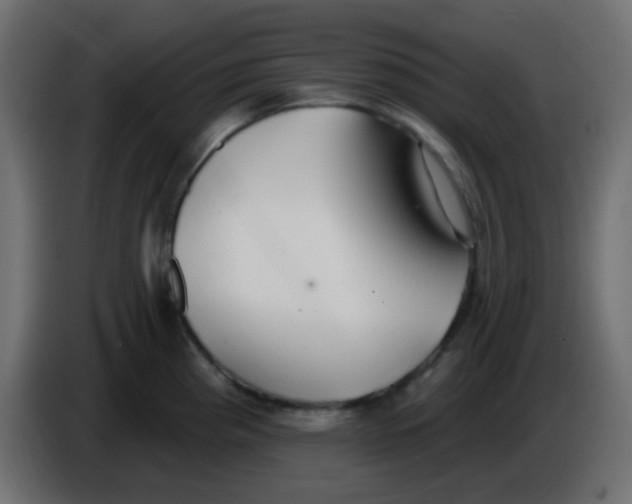 X0000086071193200704132033