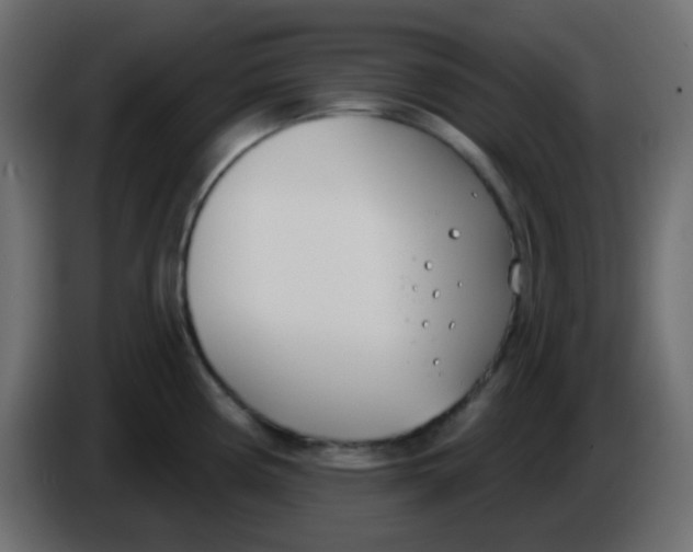 X0000086071194200704132033