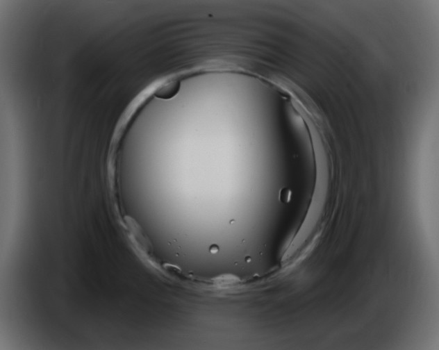X0000086071196200704132033