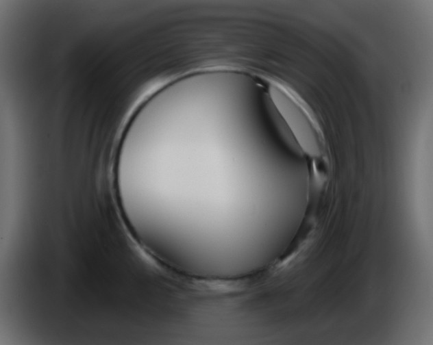 X0000086071197200704132033