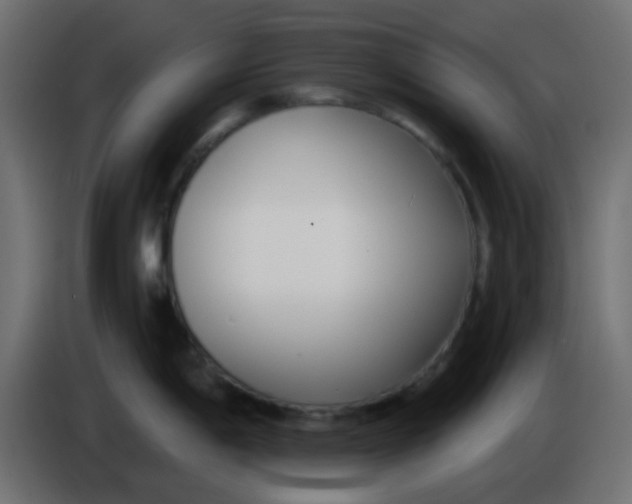 X0000086071198200704132033