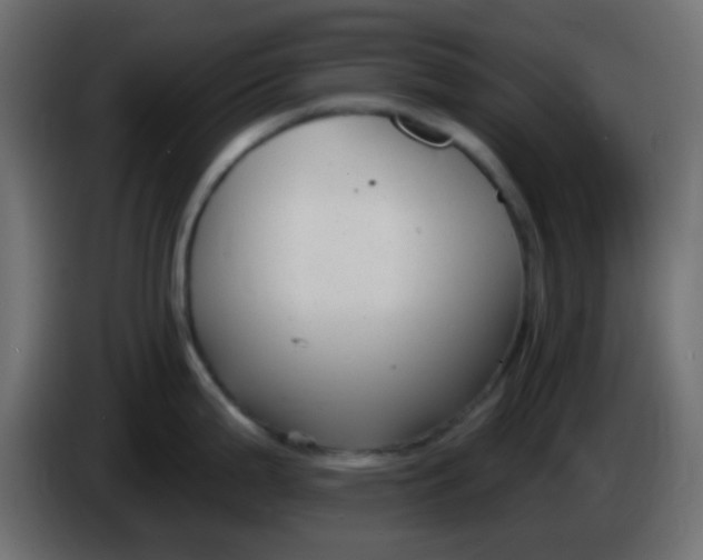 X0000086071199200704132033