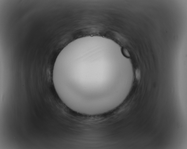 X0000086071203200704132033