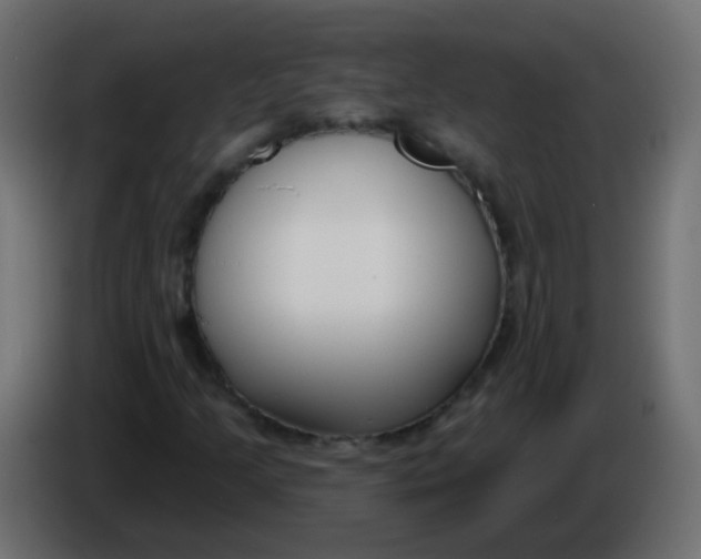 X0000086071205200704132033
