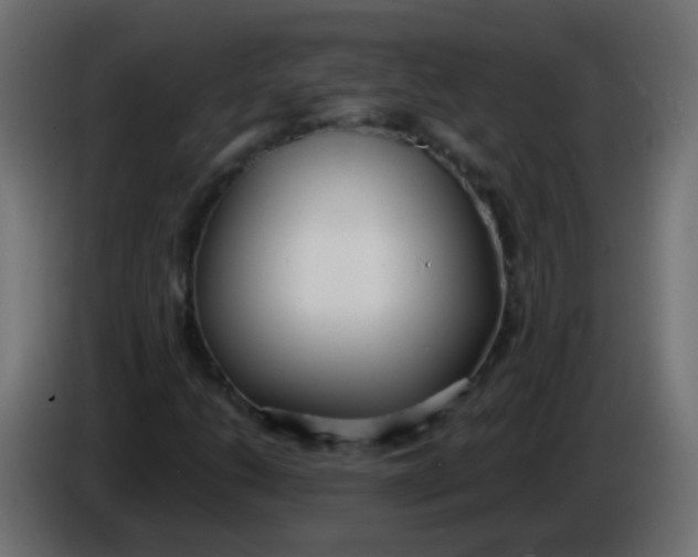 X0000086071206200704132033