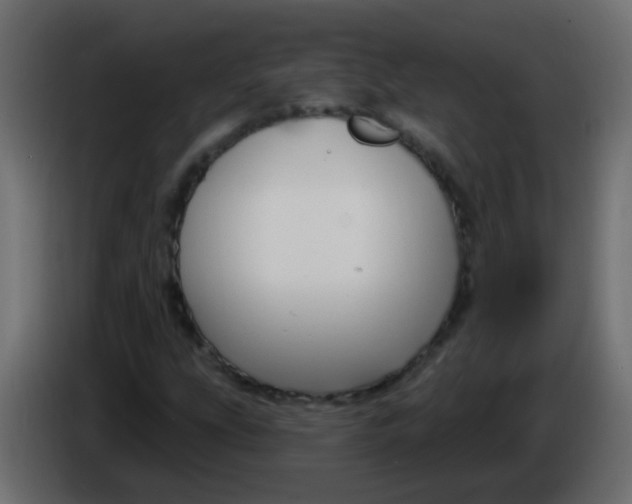 X0000086071207200704132033