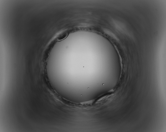 X0000086071208200704132033
