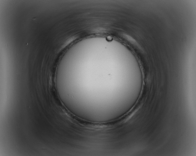 X0000086071209200704132033