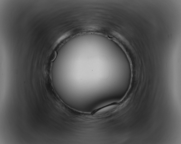 X0000086071210200704132033