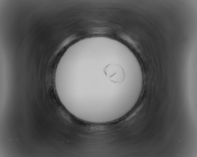 X0000086071211200704132033