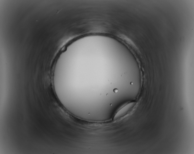 X0000086071212200704132033