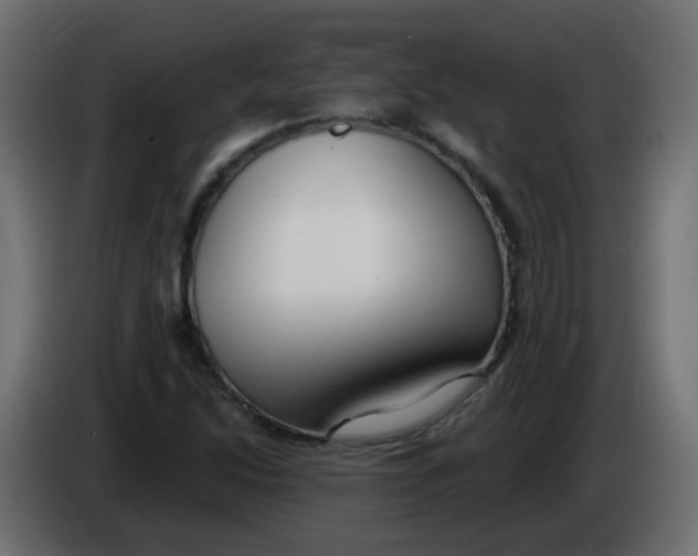 X0000086071214200704132033