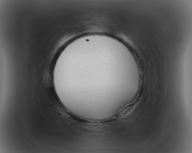X0000086071215200704132033