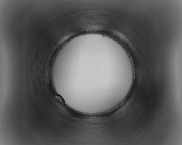 X0000086071217200704132033