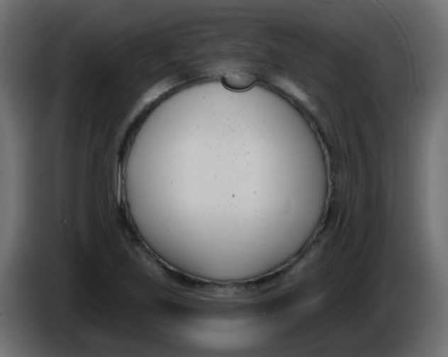 X0000086071219200704132033