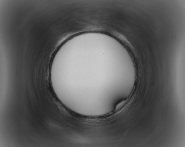 X0000086071220200704132033