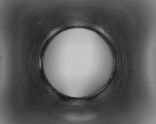 X0000086071221200704132033