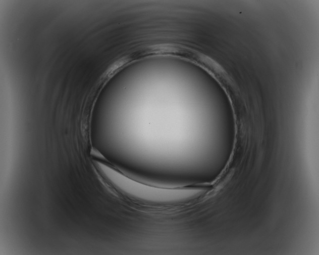 X0000086071225200704132033