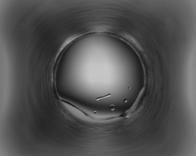 X0000086071226200704132033
