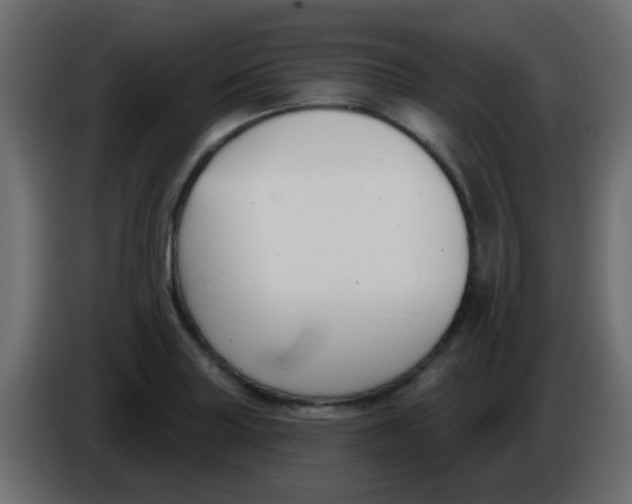 X0000086071227200704132033