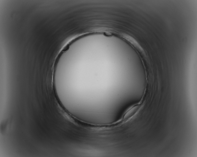 X0000086071228200704132033