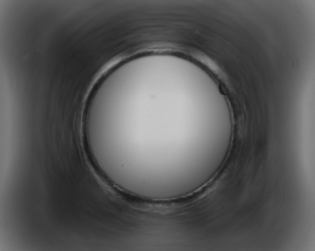 X0000086071229200704132033