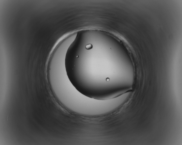 X0000086071230200704132033