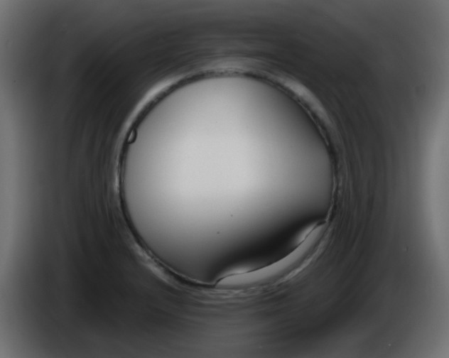 X0000086071232200704132033