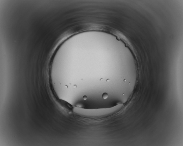 X0000086071235200704132033