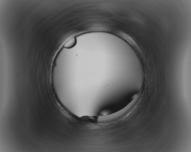 X0000086071236200704132033