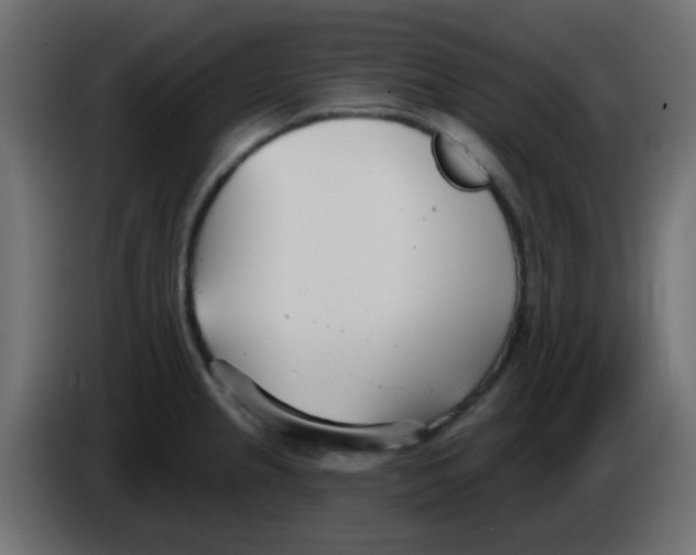 X0000086071237200704132033
