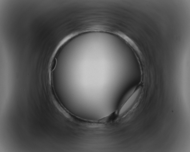 X0000086071238200704132033