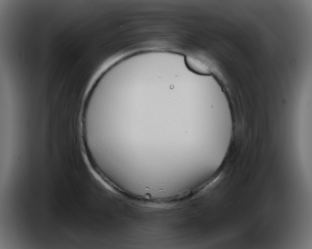 X0000086071239200704132033