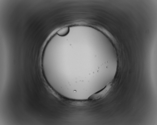 X0000086071240200704132033