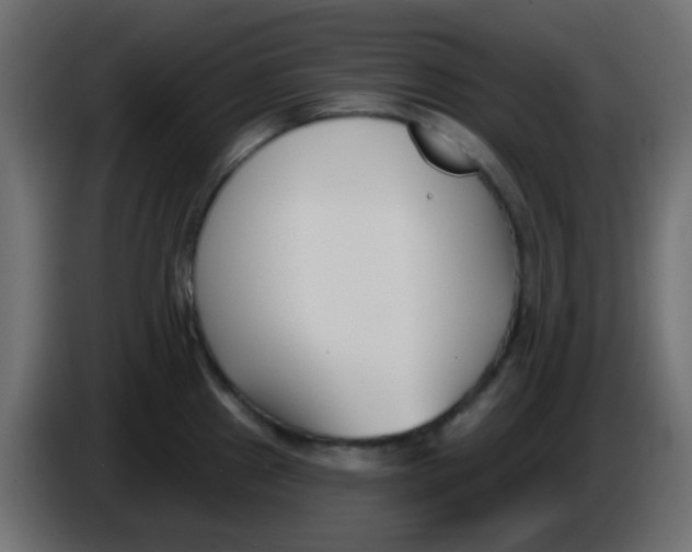 X0000086071241200704132033