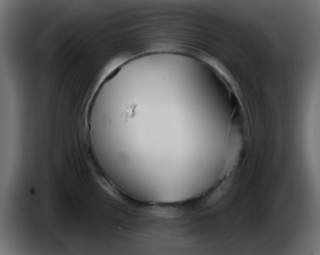 X0000086071242200704132033