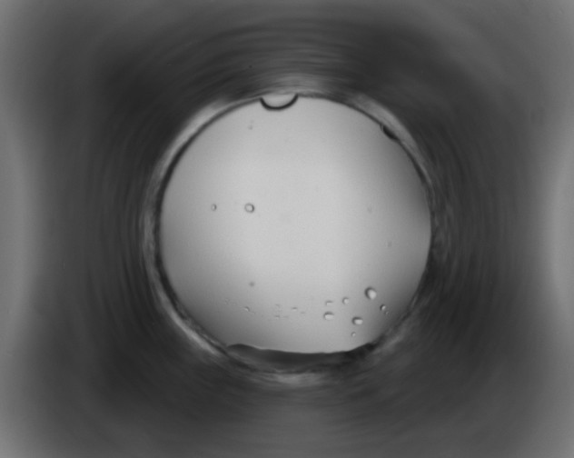 X0000086071243200704132033
